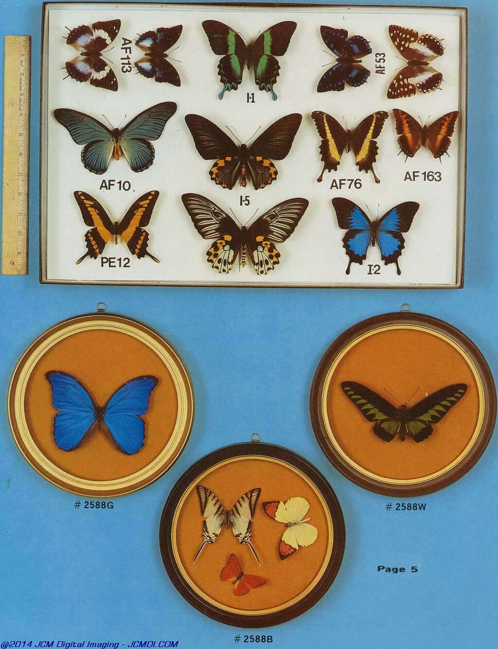 The Butterfly Company (NY) 6 Page catalog (1982)